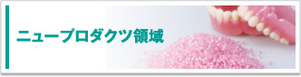 ニュープロダクツ領域