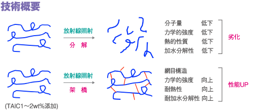技術概要